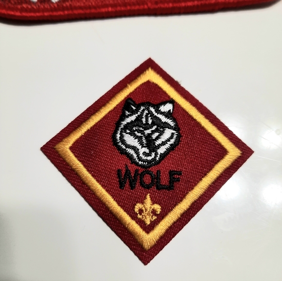 North Florida Boy Scout Patches NF Counsil 20 Wolf Bobcat Wolf Pin 2014 Badges - Picture 3 of 5